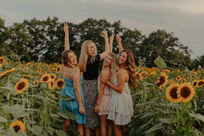 sunflower fields in alabama 1 sunflower fields in alabama