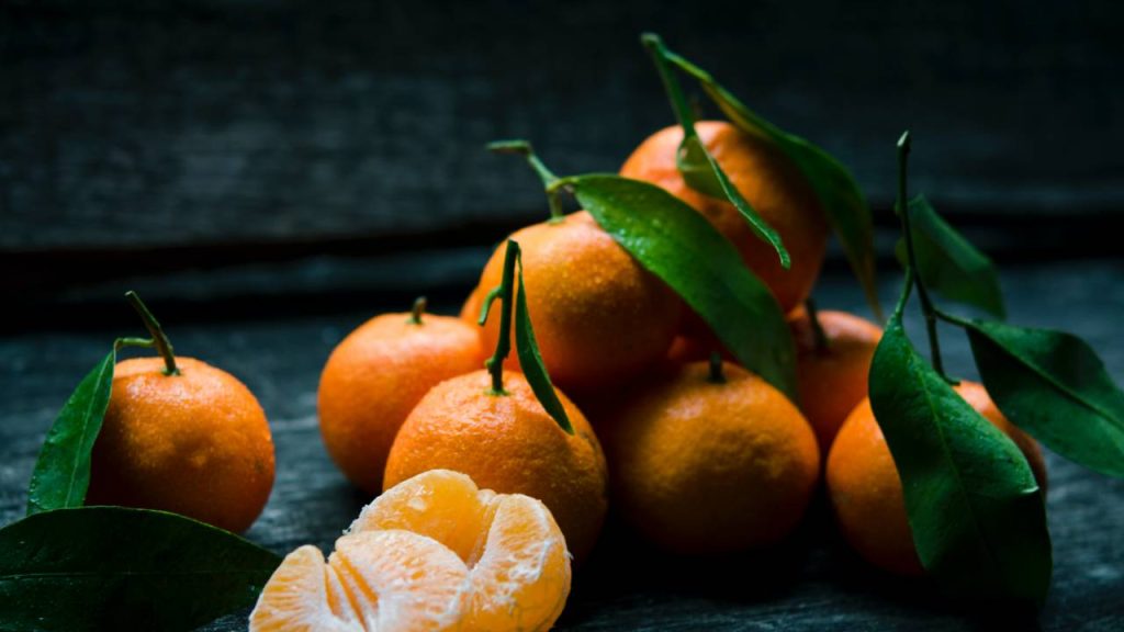 Experience The Famous Southern Hospitality In Satsuma, Alabama