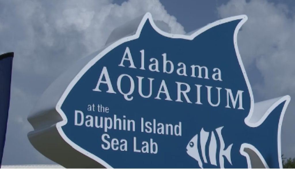 Alabama Aquarium Makes A Grand Comeback!