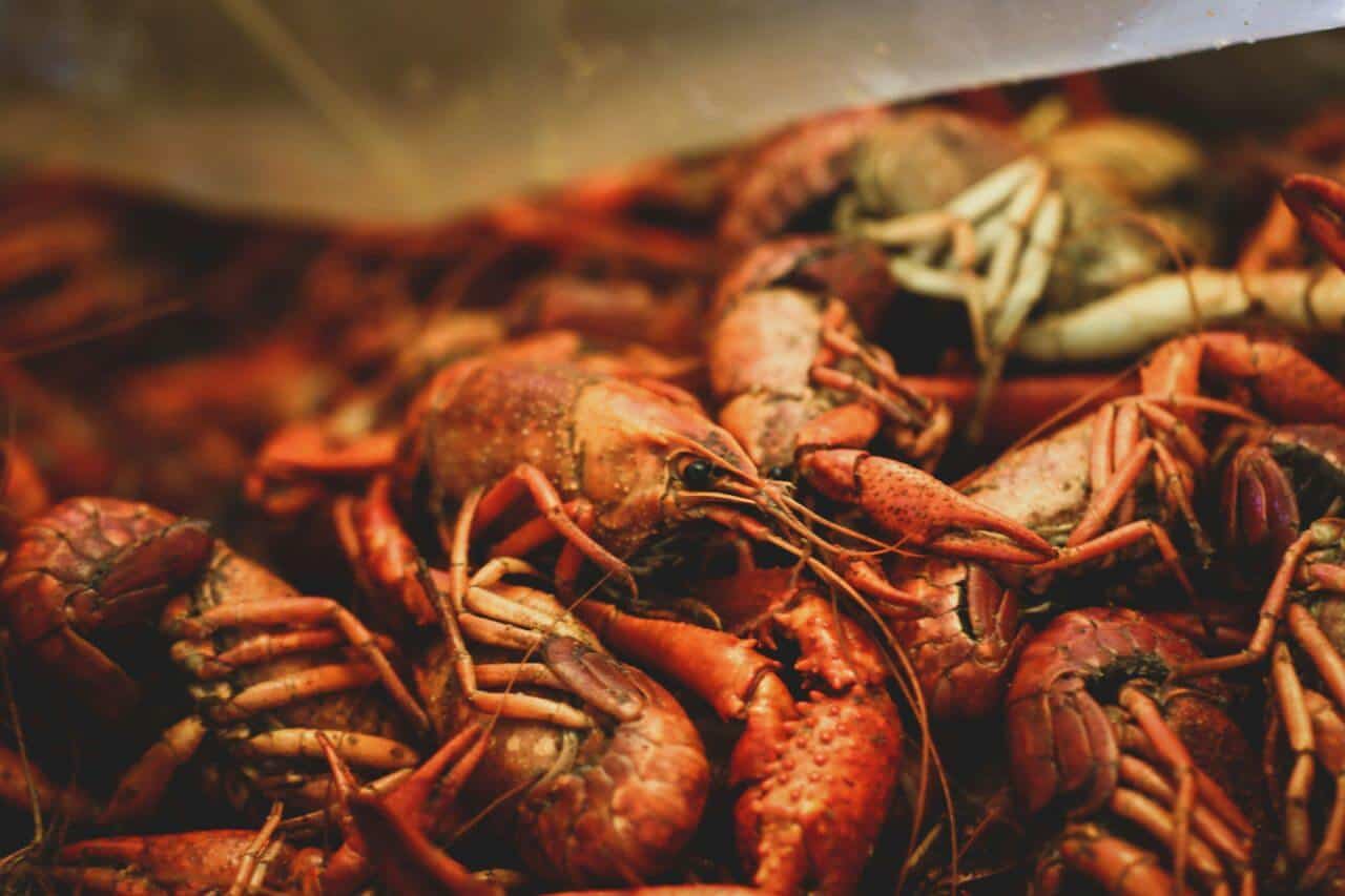 crawfish prices drop, seafood lovers rejoice