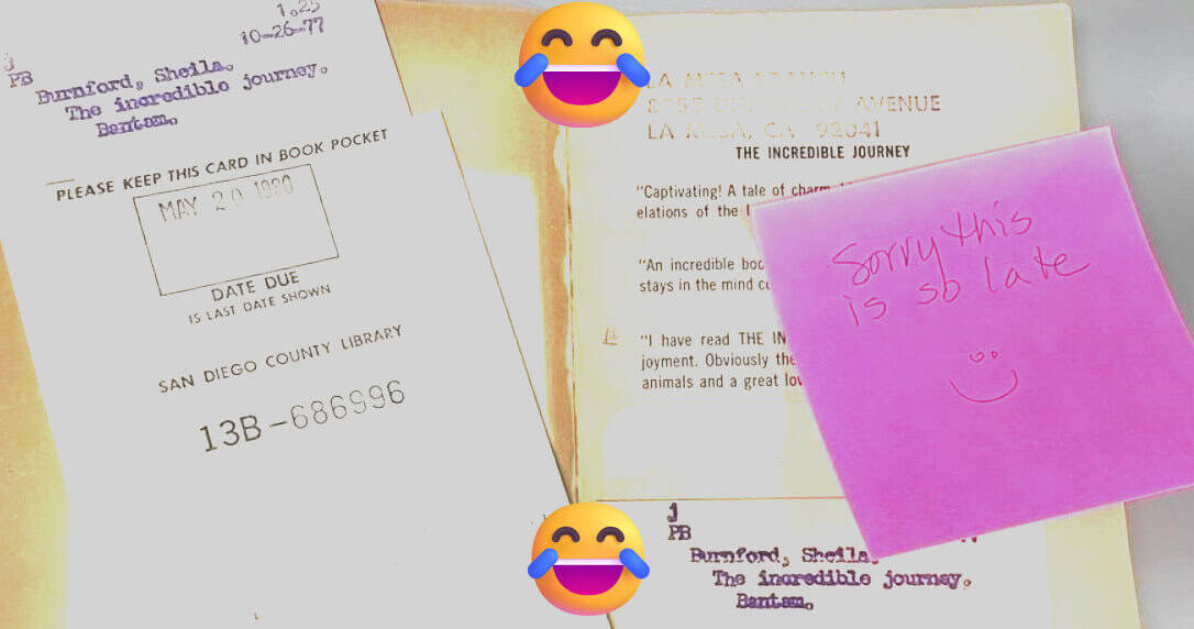 California library gets book back after 46 years